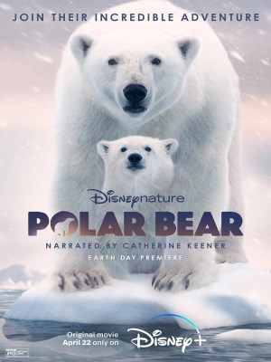 Xem phim Polar Bear - Gấu Bắc Cực 2022 Full HD Vietsub