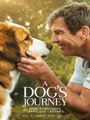 Xem phim A Dog's Journey - Hành Trình Của Chú Chó Bailey 2019 Full HD Vietsub