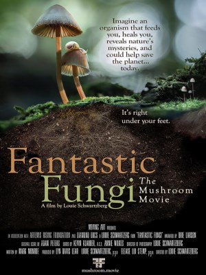 Xem phim Fantastic Fungi - Thế Giới Nấm Diệu Kỳ 2019 Full HD Vietsub