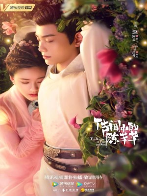 Xem phim The Romance of Tiger and Rose - Trần Thiên Thiên Trong Lời Đồn 2020 Full HD Vietsub