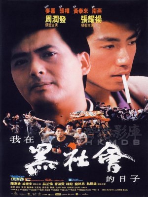 Xem phim Triads: The Inside Story - Cuộc Chiến Hội Tam Hoàng 1989 Full HD Vietsub