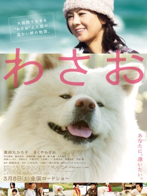 Xem phim Wasao - Wasao 2011 Full HD Vietsub