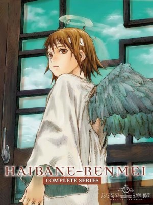 Xem phim Haibane Renmei - Những Đôi Cánh Xám 2002 Full HD Vietsub