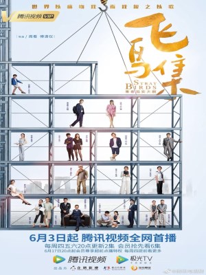 Xem phim Stray Birds - Bầy Chim Lạc 2021 Full HD Vietsub