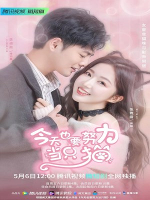 Xem phim My Cat-astrophic Lover - Bạn Gái Tôi Là Một Chú Mèo 2022 Full HD Vietsub