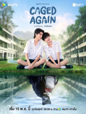 Xem phim Caged again - Dũng Cảm Nói Yêu Người 2024 Full HD Vietsub