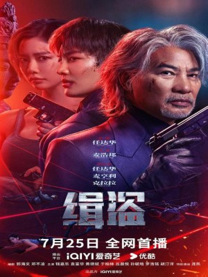 Xem phim Truy Bắt Đạo Tặc online